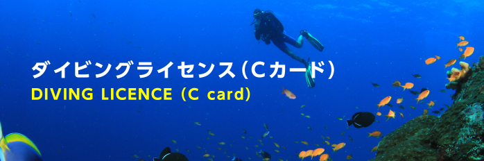 ダイビングライセンス（Cカード）DIVING LICENCE（C card）
